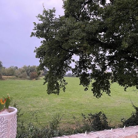 Severnside Boat And Caravan Park Gloucestershire - Caravan 1 Deerhurst 外观 照片
